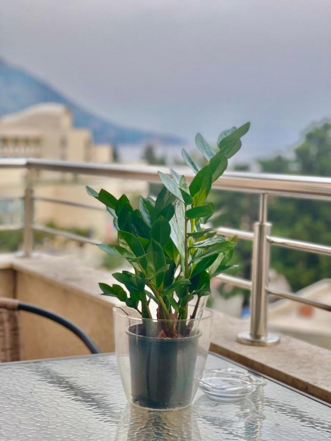Apartments Boreta Becici Budva Extérieur photo