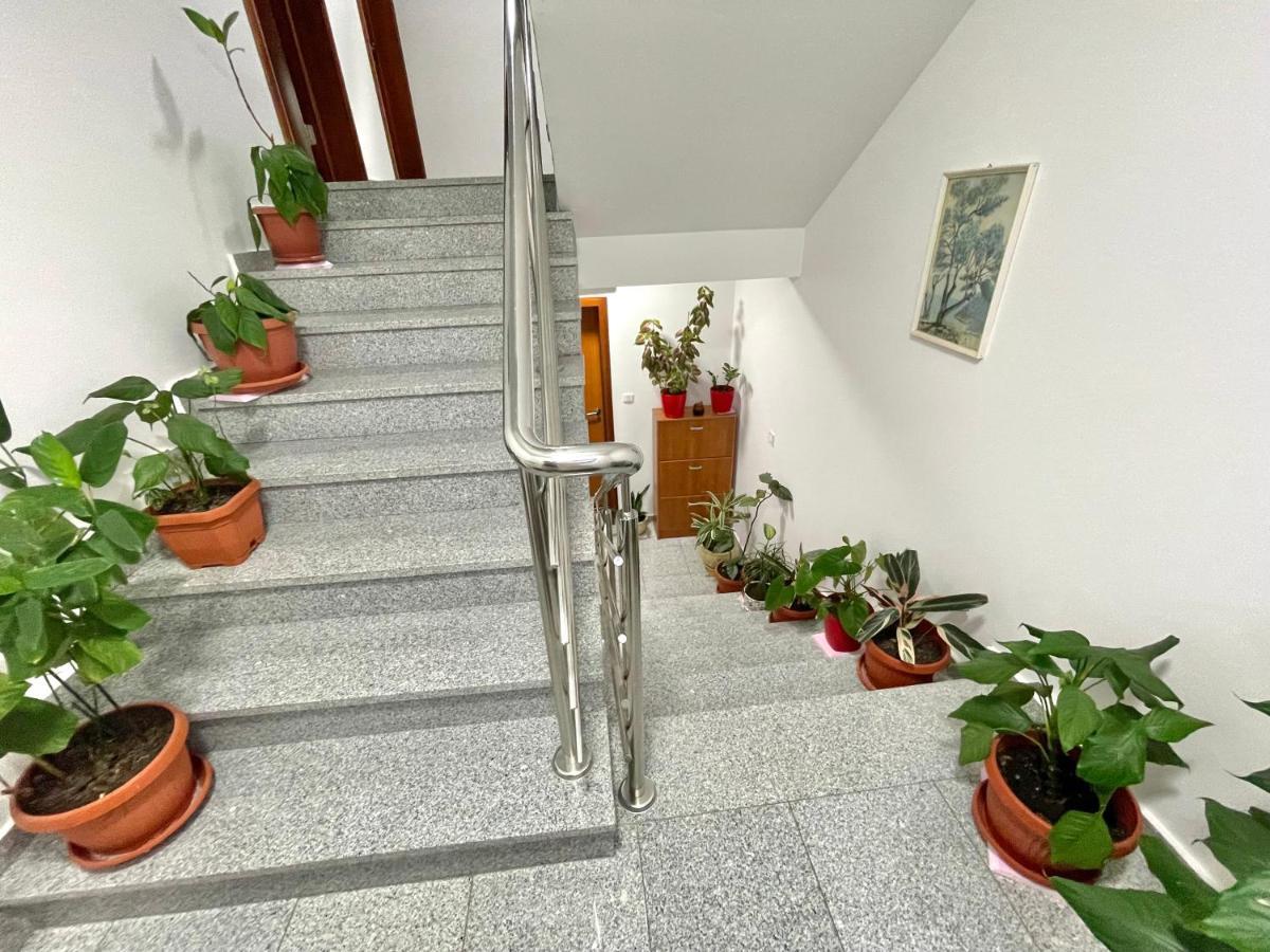 Apartments Boreta Becici Budva Extérieur photo