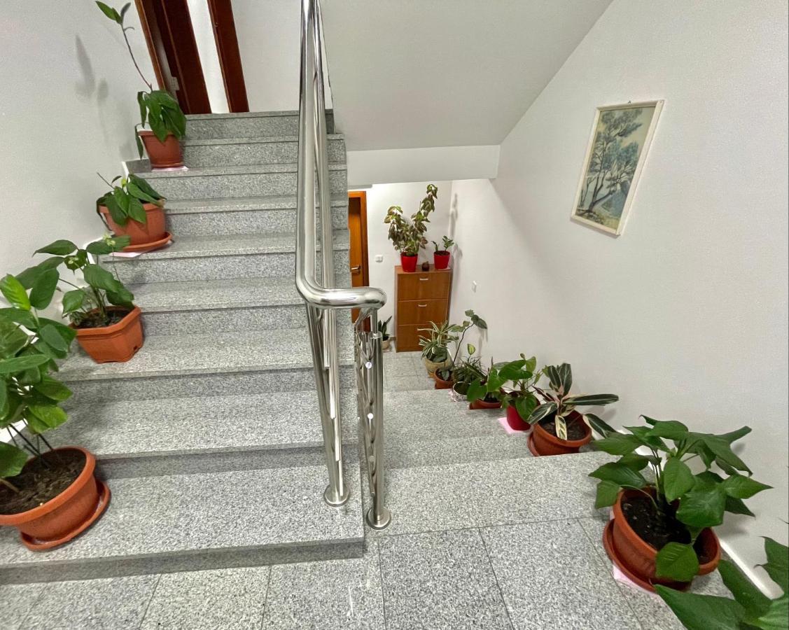 Apartments Boreta Becici Budva Extérieur photo