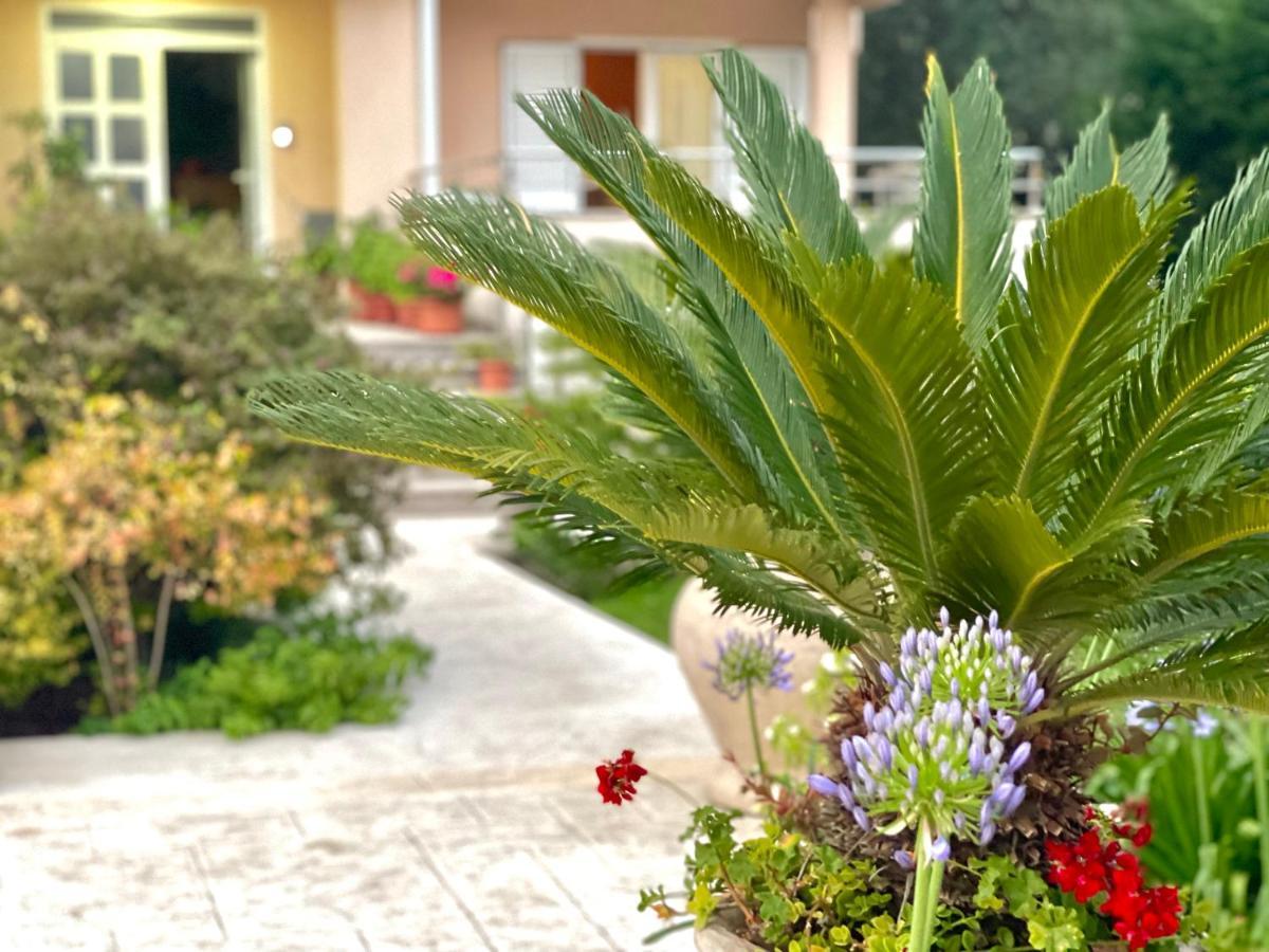 Apartments Boreta Becici Budva Extérieur photo